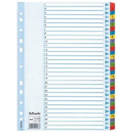 Regiszter  A4 Mylar ESSELTE 1-31