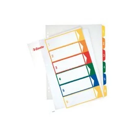 Regiszter A/4 MAXI ESSELTE karton, nyomtatható 5 részes