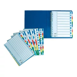 Elválasztólap A/4 ESSELTE műanyag 12 részes