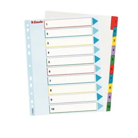 Regiszter újraírható Esselte MAXI A4 1-10 részes