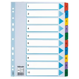Regiszter  A4 Mylar ESSELTE 1-10