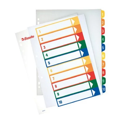 Regiszter A/4 MAXI ESSELTE karton, nyomtatható 10 részes