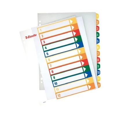 Regiszter A/4 MAXI ESSELTE karton, nyomtatható 12 részes