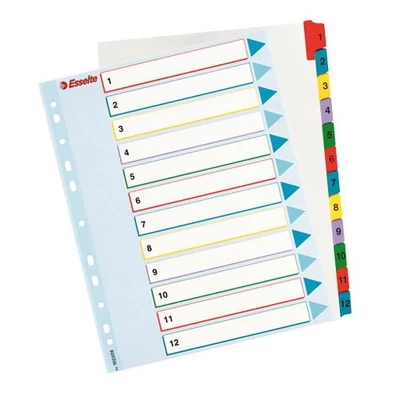Regiszter újraírható Esselte MAXI A4 1-12 részes