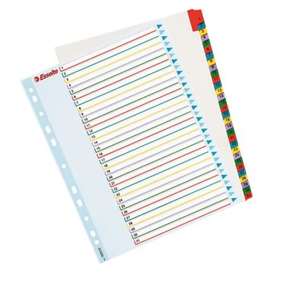 Regiszter újraírható Esselte MAXI A4 1-31 részes