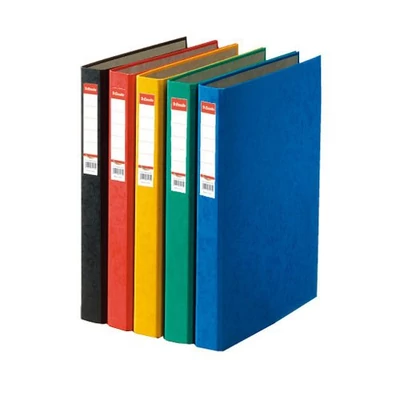 Gyűrűskönyv A4 2 gyűrűs 25mm ESSELTE Rainbow